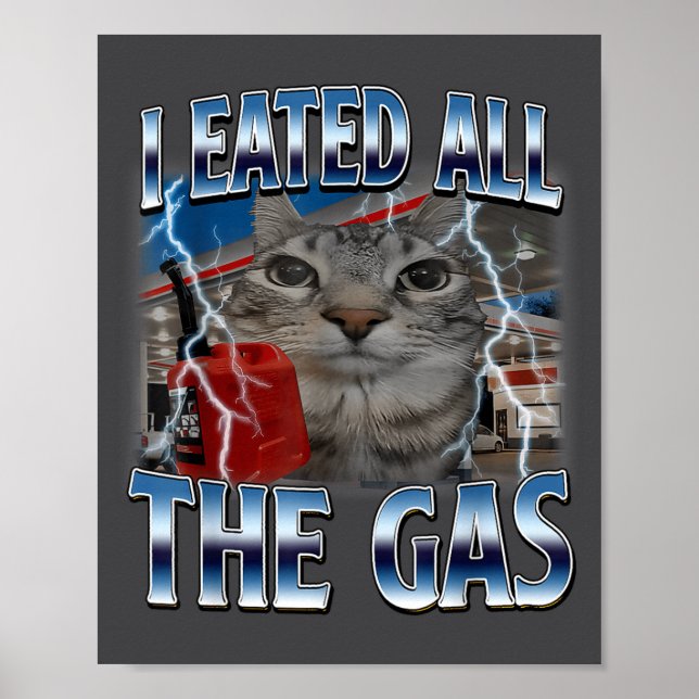Hilarious Cat Eated Lover Cat Gas I All Silly Sayi Poster (Front)