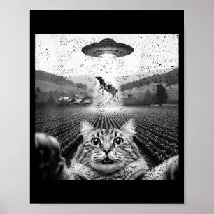 Hilarious Cat Selfie Ufo Cow Abduction Alien Meme Poster