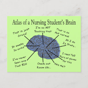 Hilarious Nursing Student "Brain" Gifts Postcard
