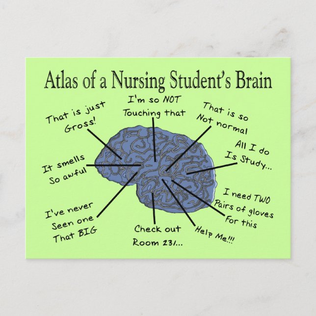 Hilarious Nursing Student "Brain" Gifts Postcard (Front)