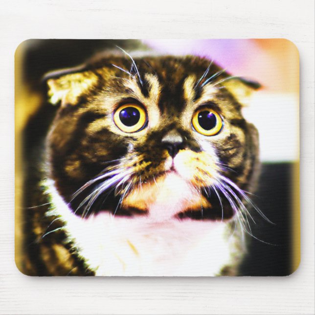 Hilarious Photo of a Funny Cat. Buy Now Mouse Pad (Front)