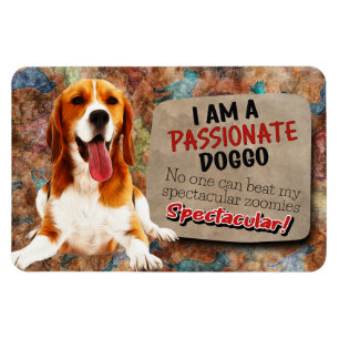 Hilarious thought from your Beagle Magnet