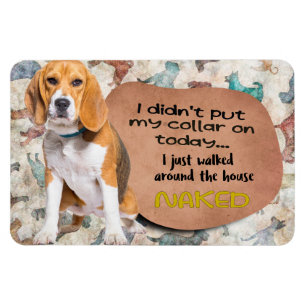 Hilarious thought from your Beagle Magnet