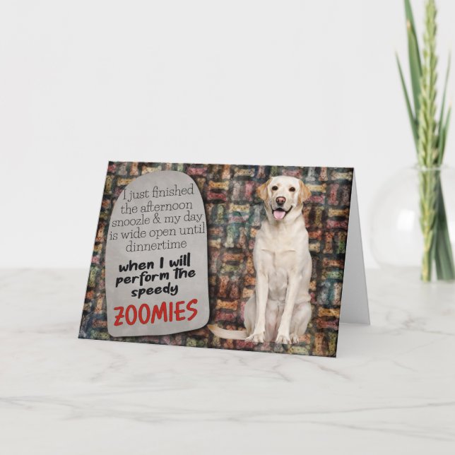 Hilarious thought from your Labrador Birthday Card (Front)
