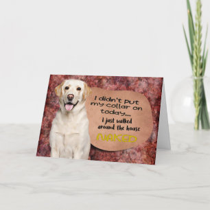 Hilarious thought from your Labrador Birthday Card