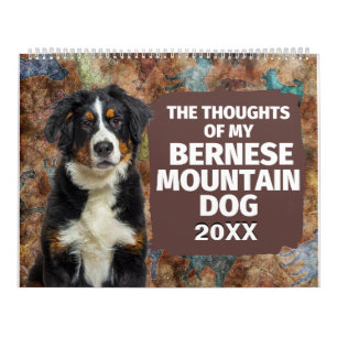 Hilarious Thoughts of My Bernese Mountain Dog Calendar