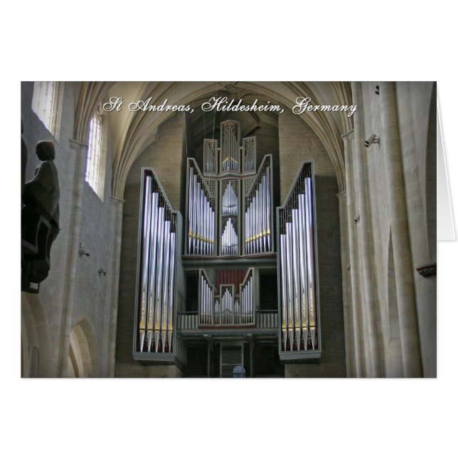 Hildesheim organ (Front Horizontal)