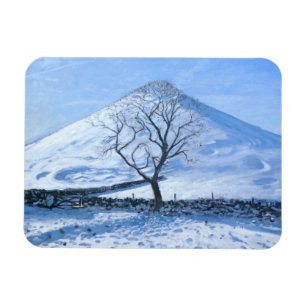 Hill and Tree Derbyshire 2008 Magnet