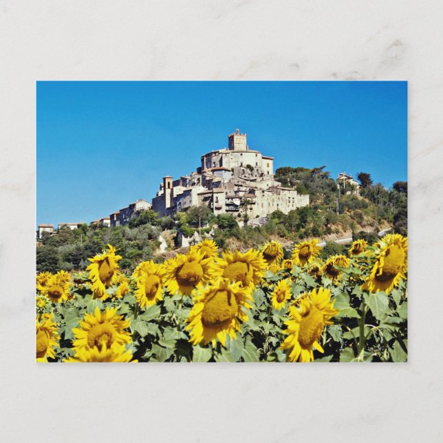 Hill town of Narni, Umbria, Italy  flowers Postcard (Front)