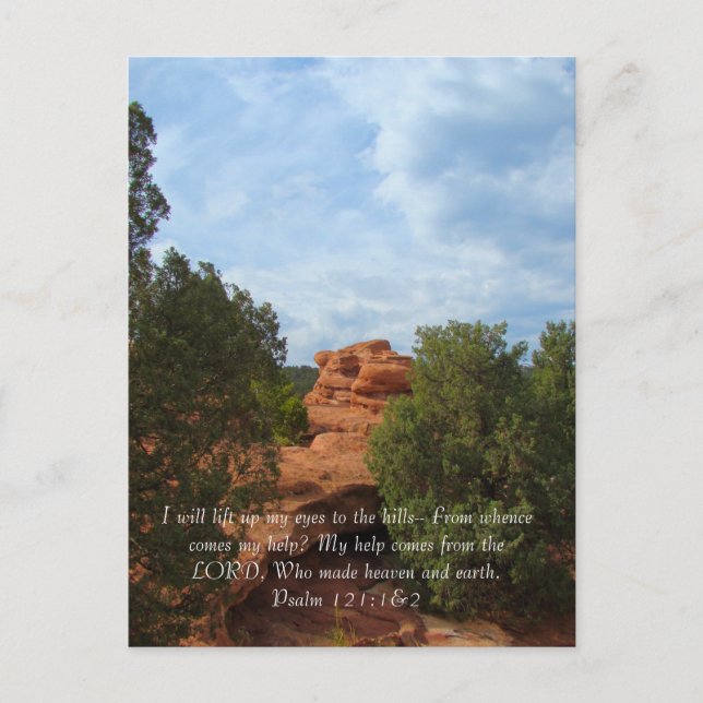 Hills in Summer Postcard (Front)