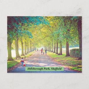 Hillsborough Park, Sheffield Postcard