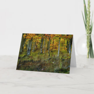 Hillside Birch - Customised Card