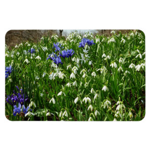 Hillside of Early Spring Flowers Landscape Magnet
