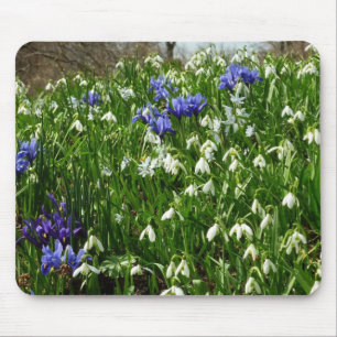 Hillside of Early Spring Flowers Landscape Mouse Pad