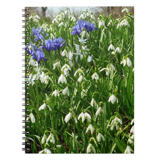 Hillside of Early Spring Flowers Landscape Notebook (Front)
