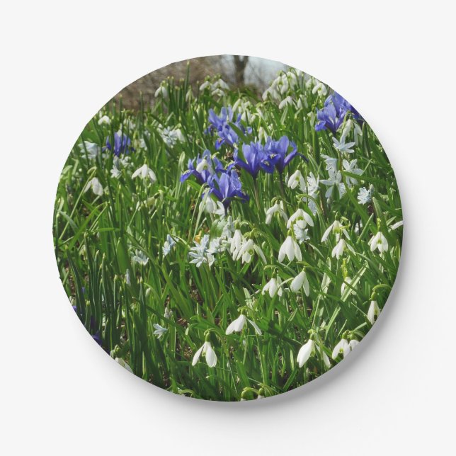 Hillside of Early Spring Flowers Landscape Paper Plate (Front)