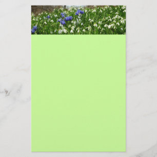 Hillside of Early Spring Flowers Landscape Stationery