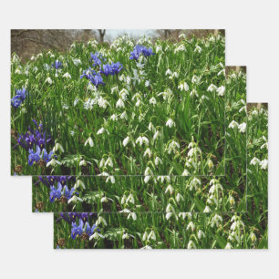 Hillside of Early Spring Flowers Wrapping Paper Sheet