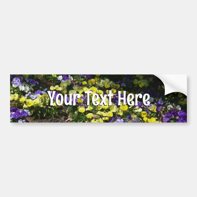 Hillside of Purple and Yellow Pansies Bumper Sticker (Front)