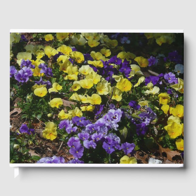 Hillside of Purple and Yellow Pansies Guest Book (Front)