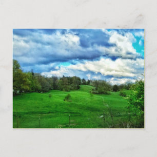 HILLSIDE PASTURE POSTCARD