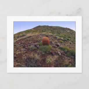 " Hillside Silo " Postcard