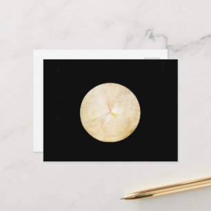 Hilma Af Klint, The Swan No.14, Abstract Art Postcard