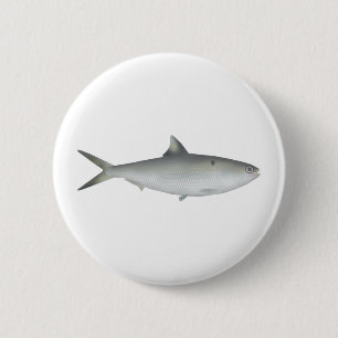 Hilsa Shad 6 Cm Round Badge