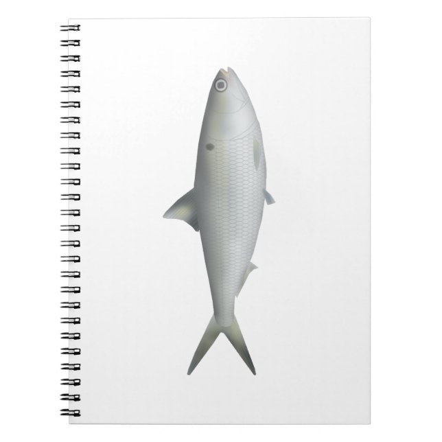 Hilsa Shad Notebook (Front)