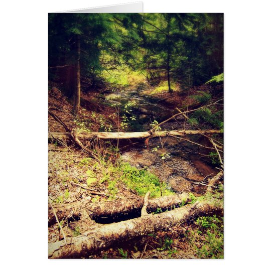 Hilton Creek Card