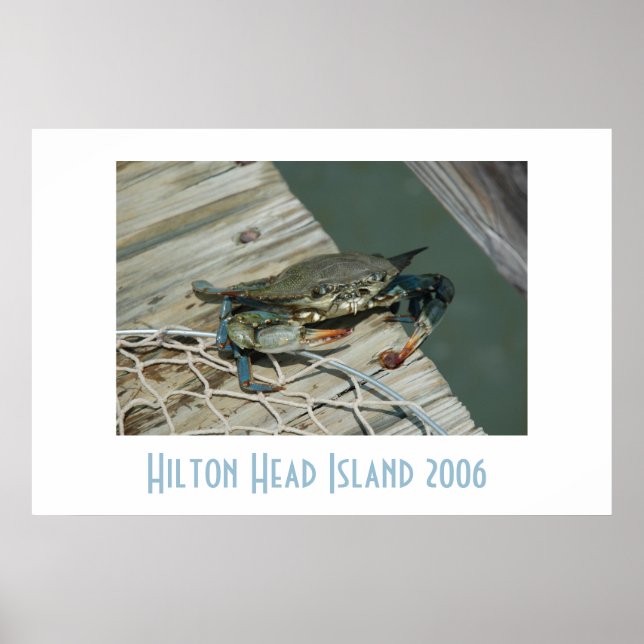 Hilton Head Island Poster (Front)