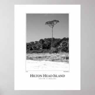Hilton Head Island Poster