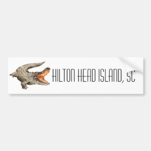 Hilton Head Island South Carolina Alligator   Bumper Sticker