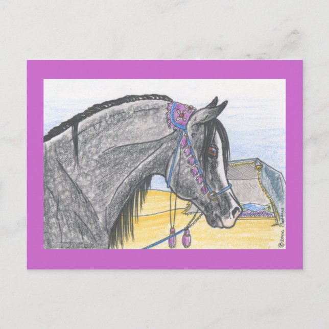 "Hilw bint Umm Ard" Postcard (Front)