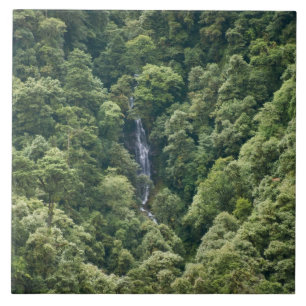 Himalaya forest in the Mangdue valley, Bhutan Ceramic Tile