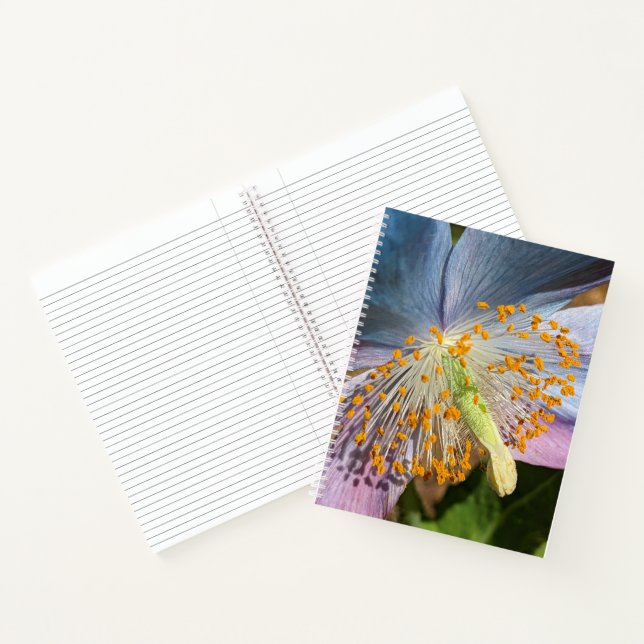Himalayan Blue Poppy Bloom Floral Notebook (Inside)