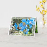 Himalayan blue poppy