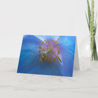 Himalayan Blue Poppy Card