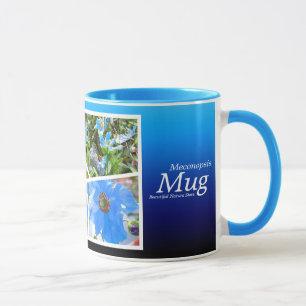 Himalayan blue poppy [Combo Mug] マグカップ Mug