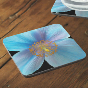 Himalayan Blue Poppy Floral Coaster