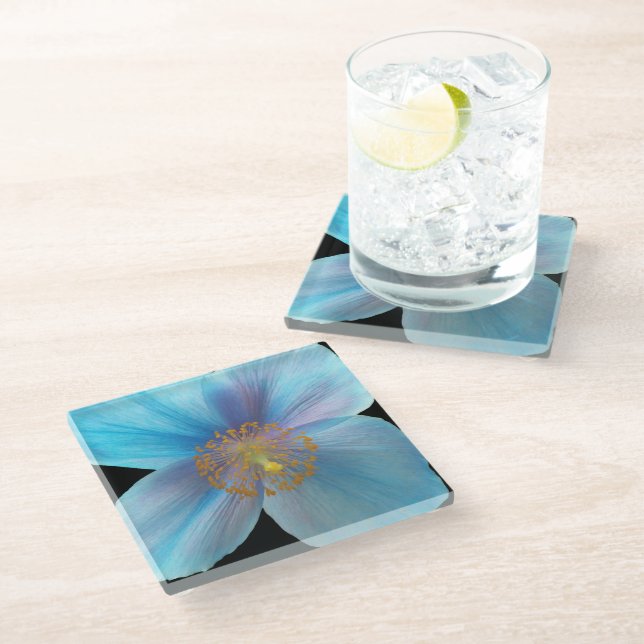 Himalayan Blue Poppy Floral Glass Coaster (Angled)