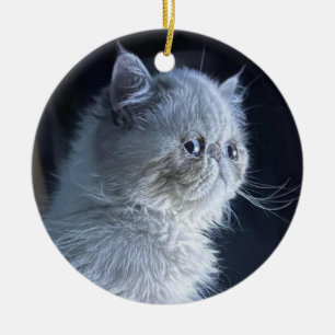 Himalayan Cat  Ceramic Ornament