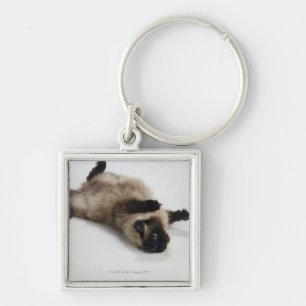 Himalayan Cat Lying on his Back Key Ring