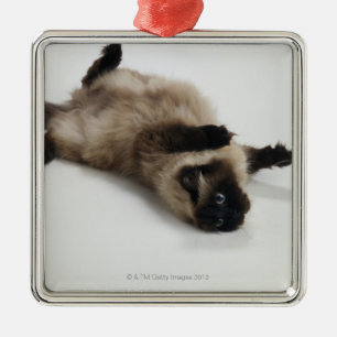 Himalayan Cat Lying on his Back Metal Tree Decoration