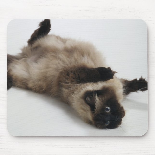 Himalayan Cat Lying on his Back Mouse Pad (Front)