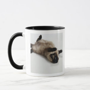 Himalayan Cat Lying on his Back Mug