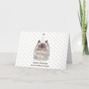 Himalayan Cat with Party Hat Card