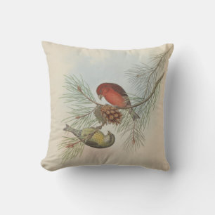 Himalayan Crossbill by John Gould Cushion