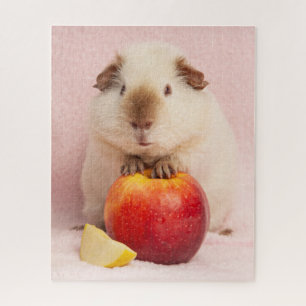 Himalayan Guinea Pig Pet Jigsaw Puzzle