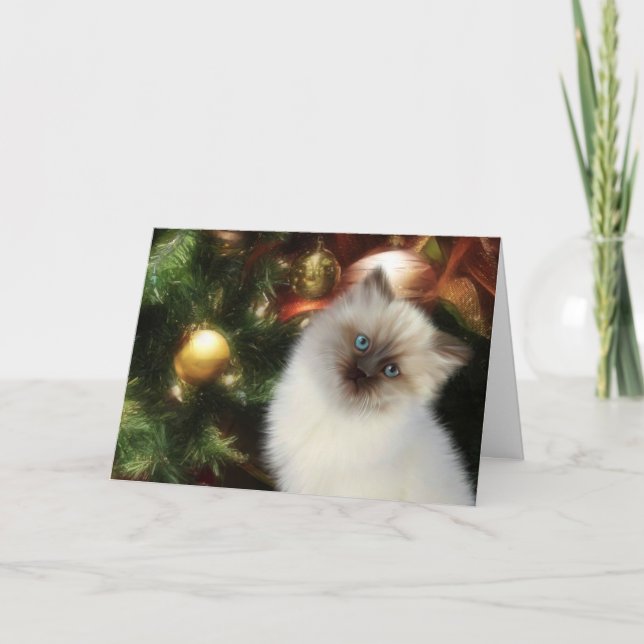 Himalayan kitty Christmas Holiday Card (Front)